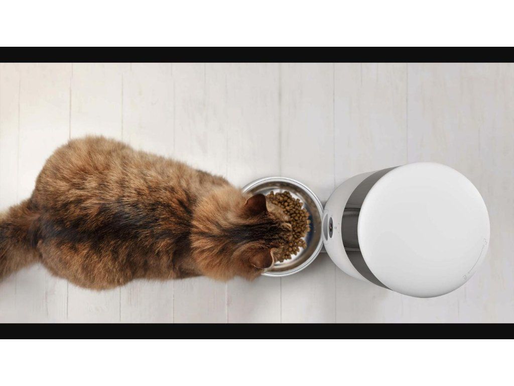 Petoneer NutriVue Feeder – krmení kočky